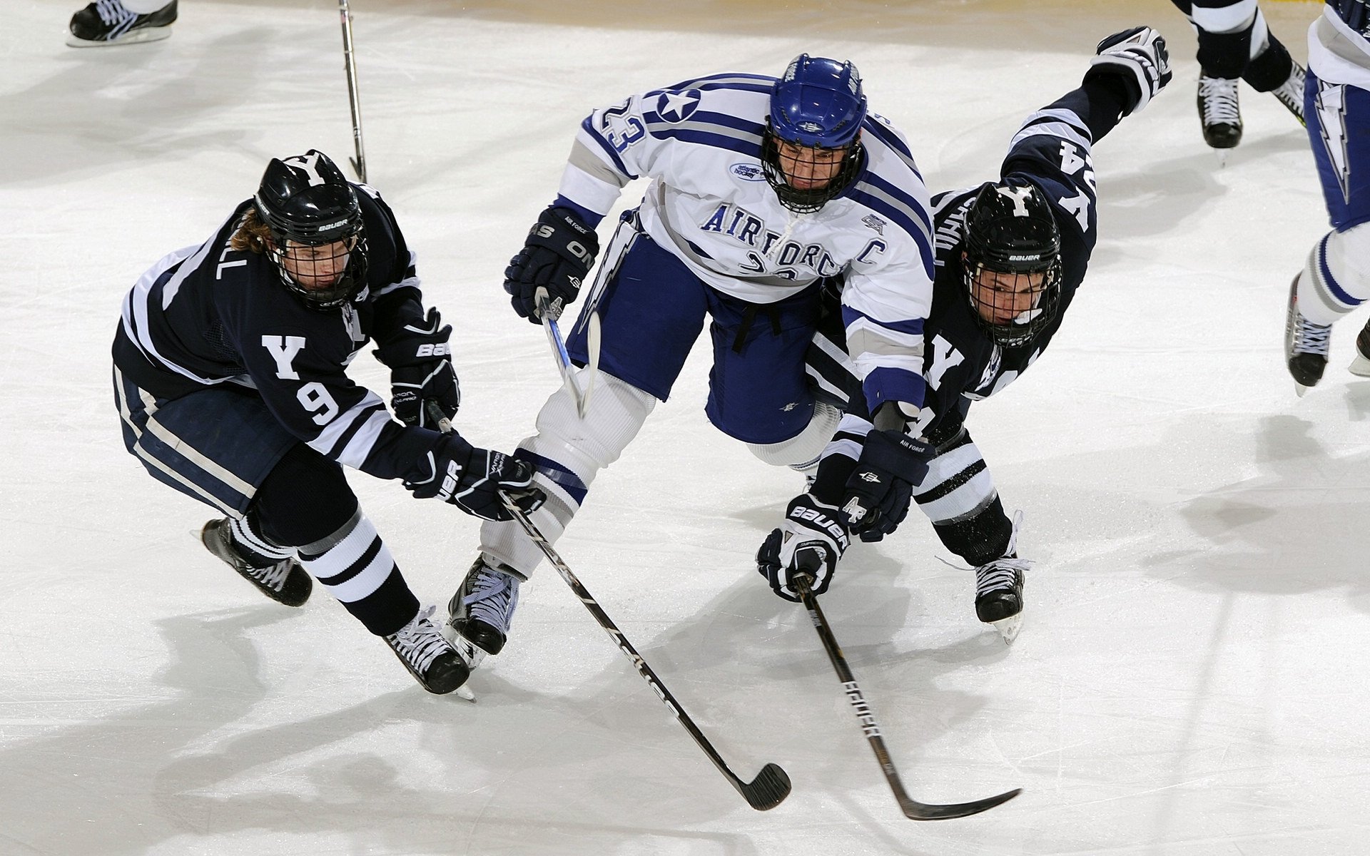 托桑·埃夫布奥姆万成为NBA社交媒体关注焦点，托马斯·埃布纳